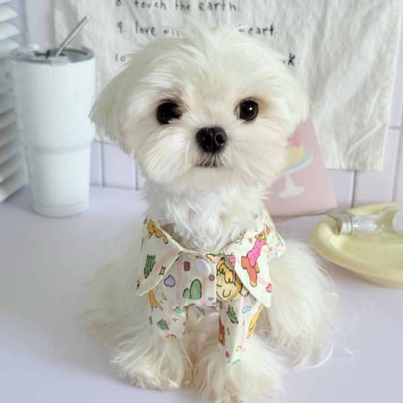 ペット服 春夏 犬 薄手 かわいい 漫画風 シャツ 親膚 通気性 小型犬 中型犬 黄緑 ストライプ 茶色 小熊 黄色 犬 青色 犬 黒色 猫