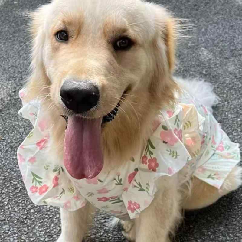 ペット服 犬服 春夏 薄手 ラブラドール ゴールデンレトリバー サモエド 中型犬 大型犬 かわいい 小花柄 ポリエステル ベスト
