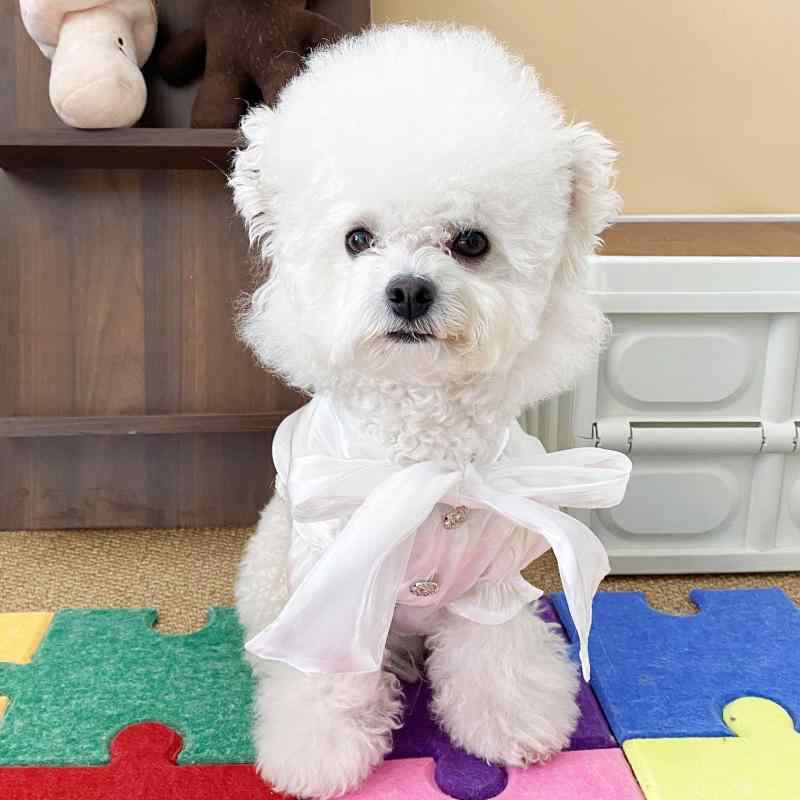 ペット服 春夏 シャツ ワンピース 小型犬 猫 テディ ビション ポメラニアン かわいい 白