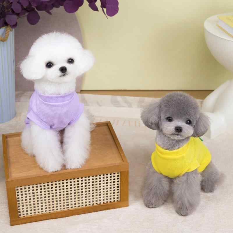 ペット服 薄手 かわいい 恐竜柄 タンクトップ 犬 猫 兼用 Tシャツ 快適 通気性 パープル イエロー グリーン ポリエステル