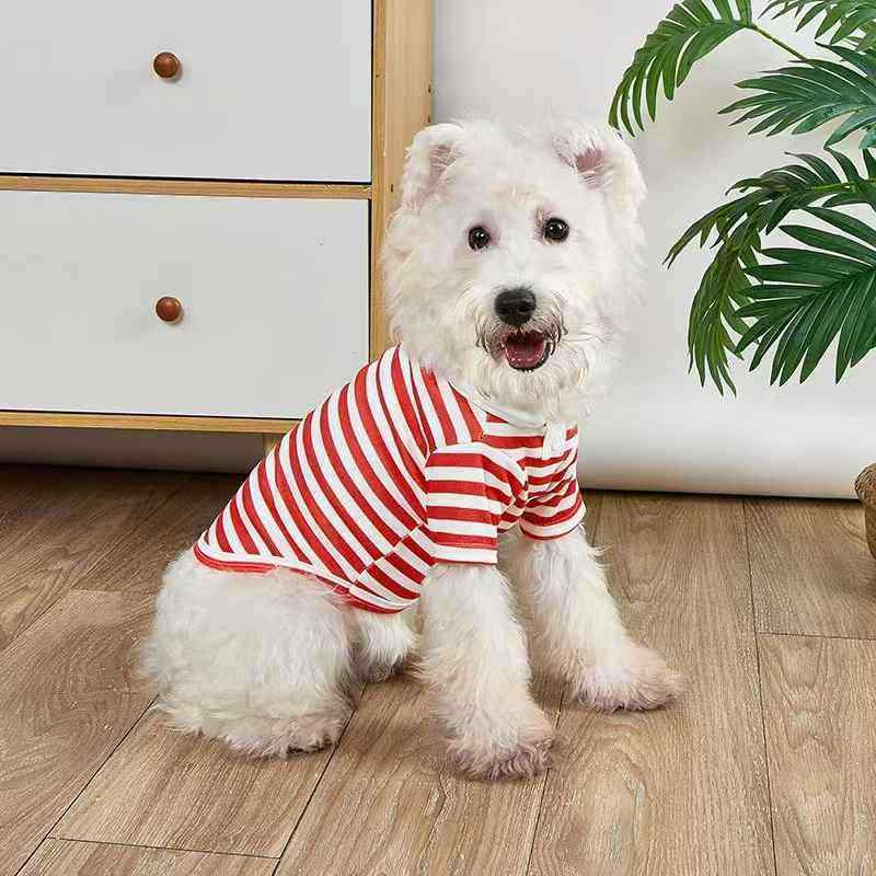 ペット服 小型犬 ポロシャツ テディ ビション パピー 子犬 猫 ドッグウェア 犬服 赤 白 黒 ピンク