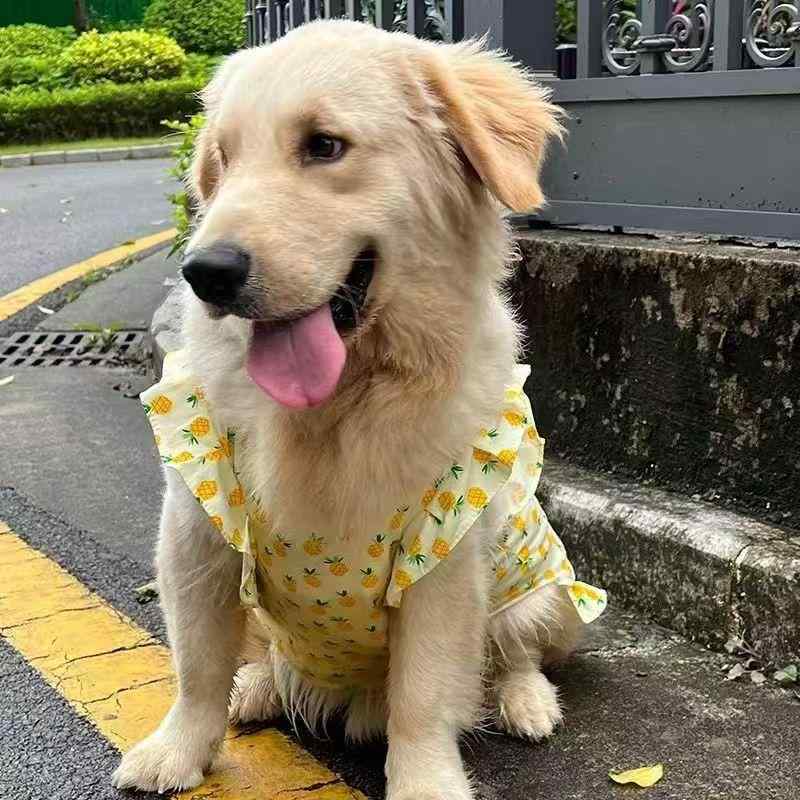 犬 服 ペット服 背心 胴輪 ハーネス 大型犬 ラブラドール サモエド ゴールデンレトリバー ボーダーコリ..