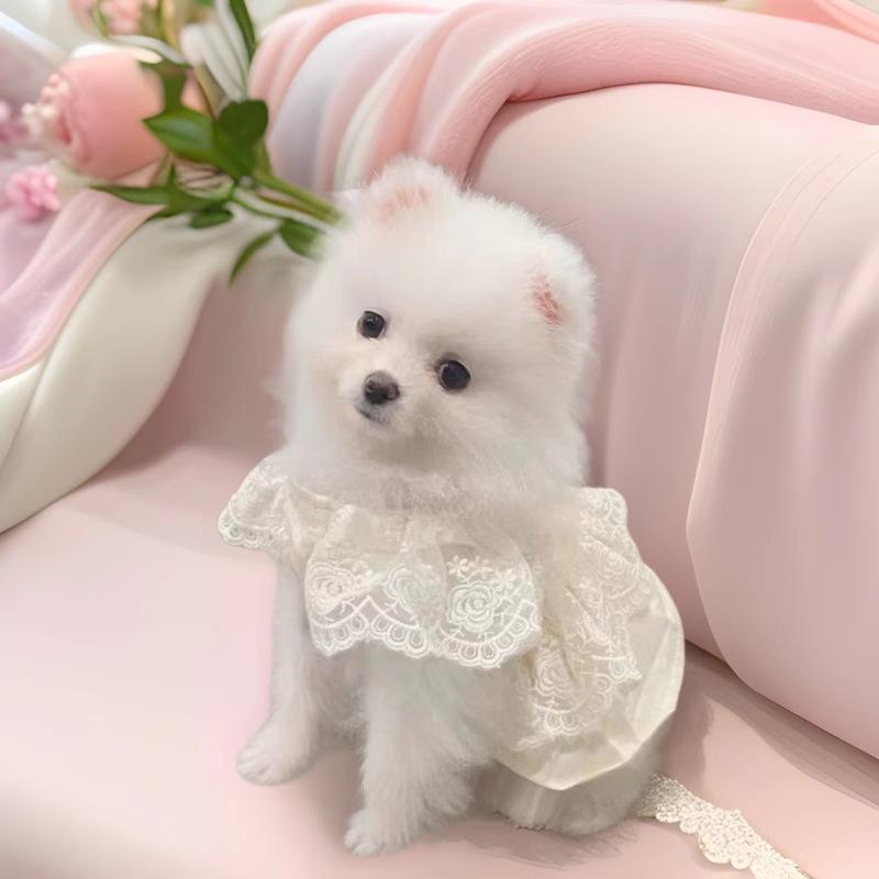 犬服 春夏 薄手 小型犬用 ワンピース ドッグウェア 浅麦色 お散歩着 かわいい スカート 抜け毛対策 ポ..