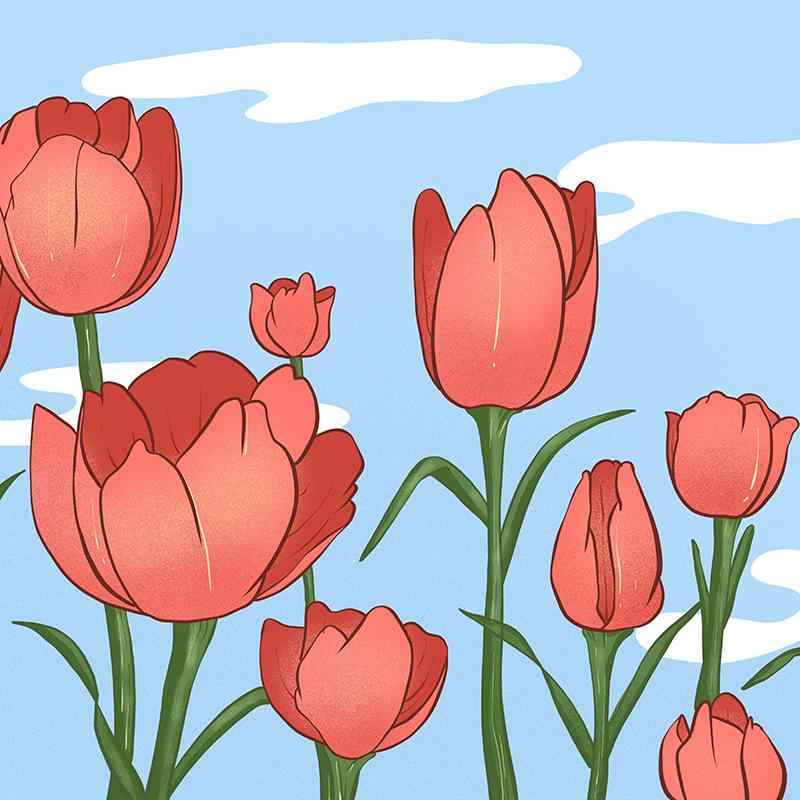 �ǥ����ޥå� Ķ��Ƚ ���� ���襤�� ������� �����ߥ󥰥ޥ����ѥå� ���ߤ� 700 300 800 900 1000 1200