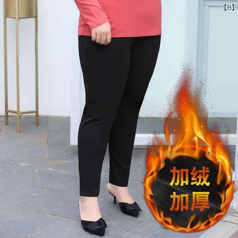 �ѥ�� ��ǥ����� �礭�������� ���� �⿭�� ���ȥ�å� �ơ��ѡ��ɥѥ�� �� �⸫�� ���� ���ʻȤ� �̶�