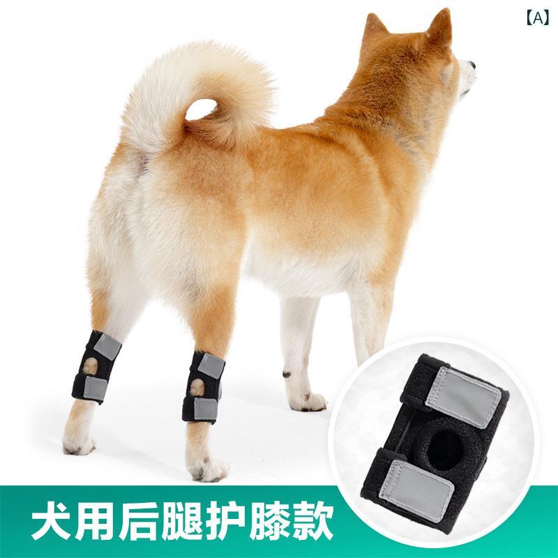 ���� ɨ���ݡ����� Ϸ�� ��� ���­ �����ݸ� ���� ��ϥӥ� ��� ɨ�ץ��ƥ����� ��ư �����ɻ� �ݥꥨ���ƥ� �� �֥�å� ������ �淿�� �緿��