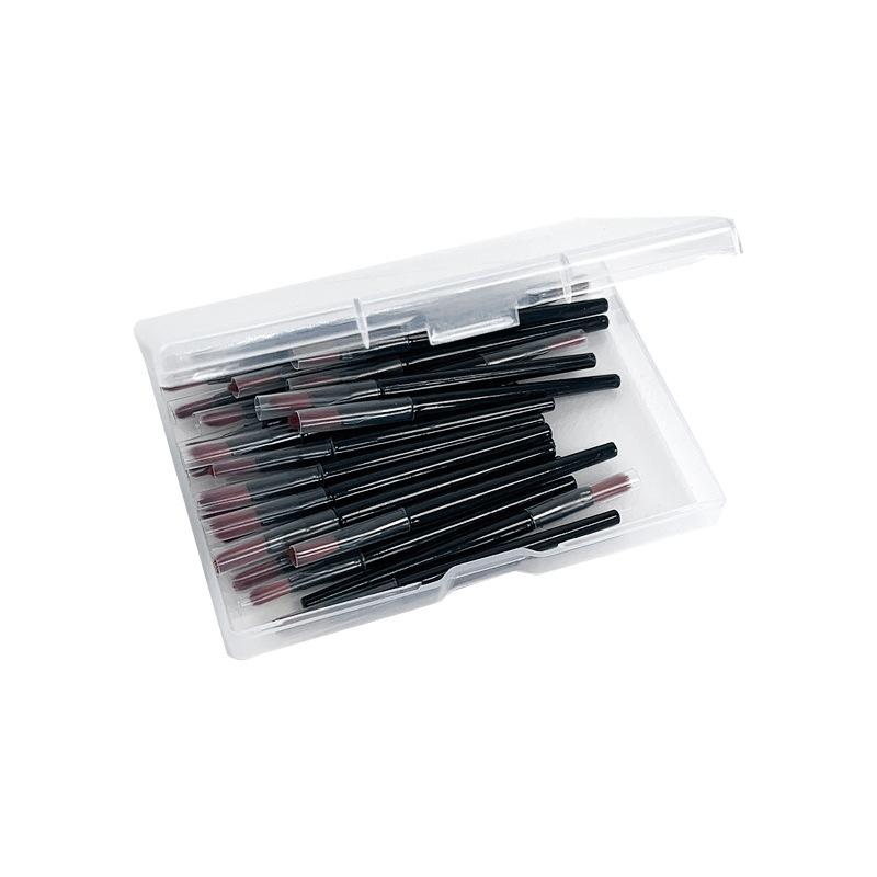 メイクアップブラシ リップブラシ 30本 携帯用 人工繊維 柔らかいブラシ 化粧ブラシ セット 普段使い