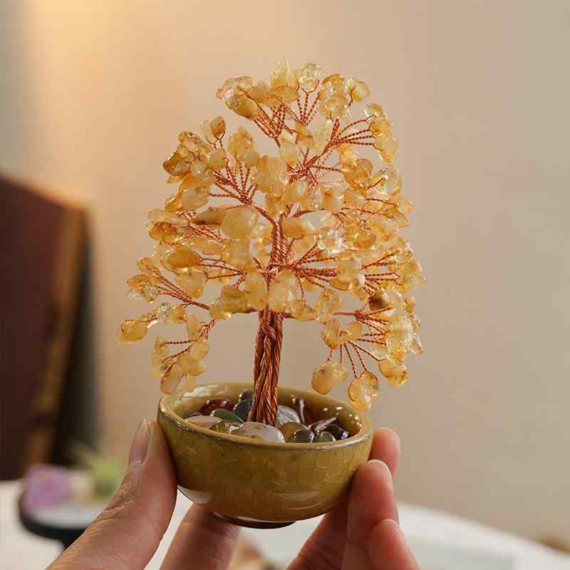 ʪ 徽  ﵯʪ ŷ 徽  ʪ ǥ֤ 