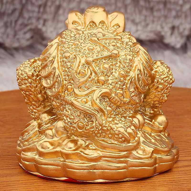 ʪ     ֥ ե  ǥ ﵯʪ   