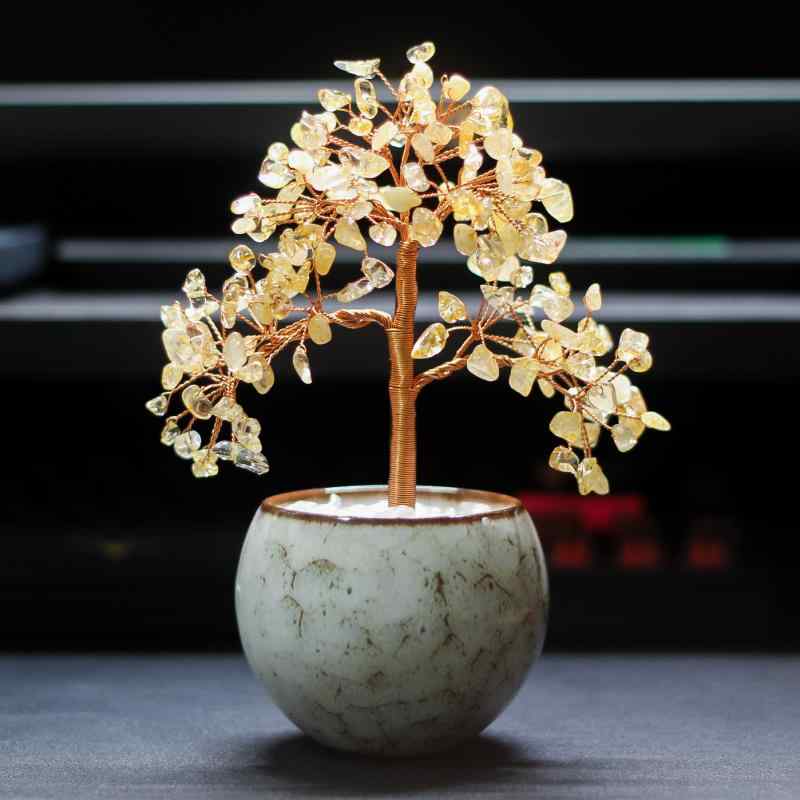 ʪ ŷ徽  ȯ ԥ ѡץ  徽  ӥ  摆 ʪ  