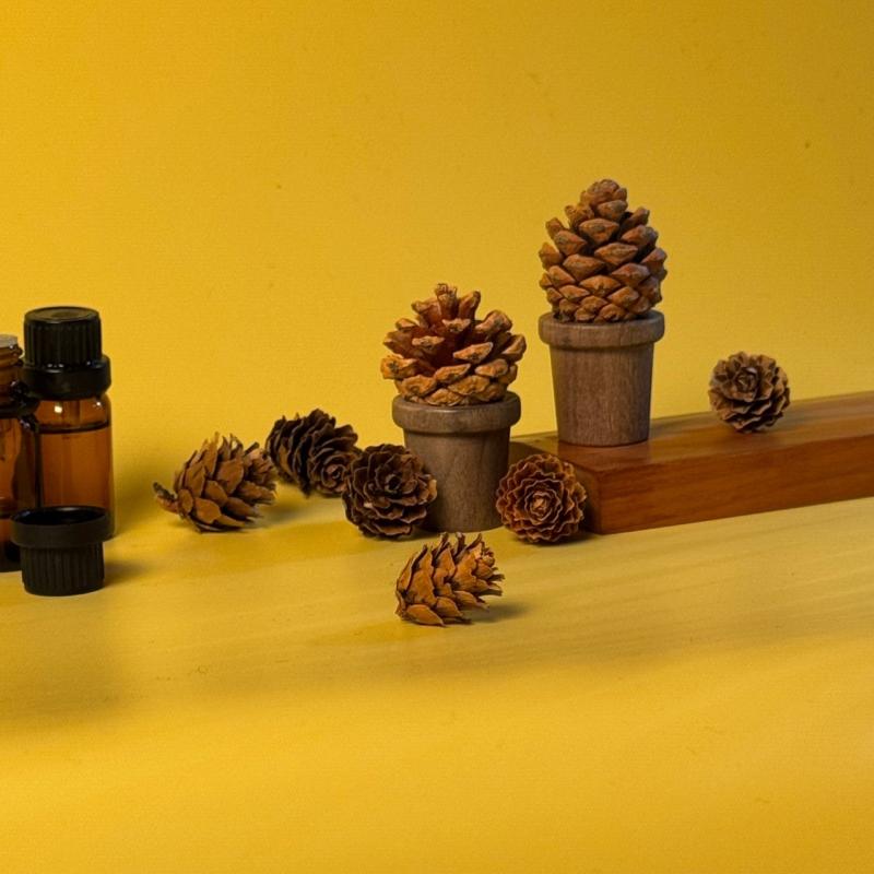 カーアクセサリー 黒胡桃 松ぼっくり アロマディフューザー 車載 芳香剤 卓上 デスク 雑貨