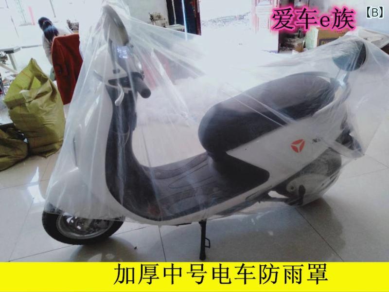 �Х����ѥ쥤�󥫥С� �͵� ��ŷ���� �����ȥХ� ���������� ���ؼ� �ɱ� �ɿ� ���� �ۥ磻�� ���� �淿 �緿 ����