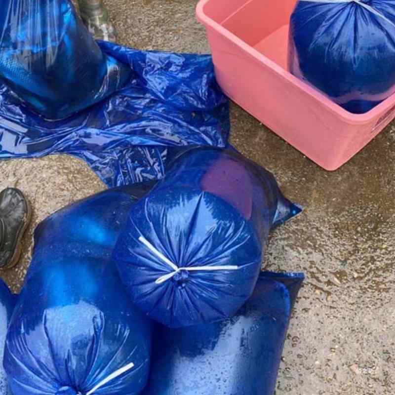 袋 海鮮 魚 輸送用 酸素 梱包袋 厚手 水産 市場 魚苗 プラスチック袋