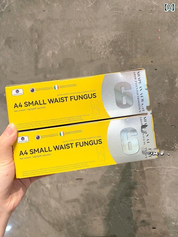 栄養補助食品 レディース 女性用 A4小腰菌 乳酸菌 個包装 16g ダイエット 腸活 菌活 スポーツ 常温