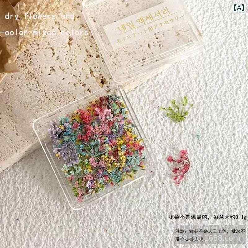 ネイルパーツ ドライフラワー 花びら 押し花 ネイルアート DIY 混合色 スパンコール デコレーション 1..
