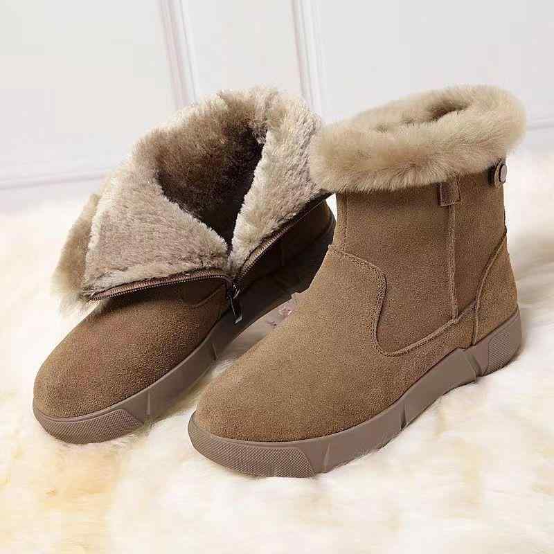 ���Ρ��֡��� ��ǥ����� �ɴ��֡��� �ؿͷ� ���������� ���硼�ȥ֡��� ΢���� �ե�åȥ����� ���ߤ� �ݲ��� ¿�Ǻ��ڤ��ؤ� �����奢�� �������� �֥��...