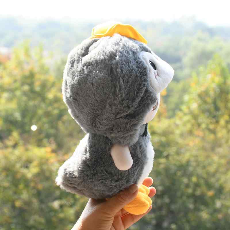 �̤���������夻�ؤ��� ˹���դ��ڥ󥮥� 2�����å� 20cm �̤�������� ���襤���ͷ��� �ؤ���