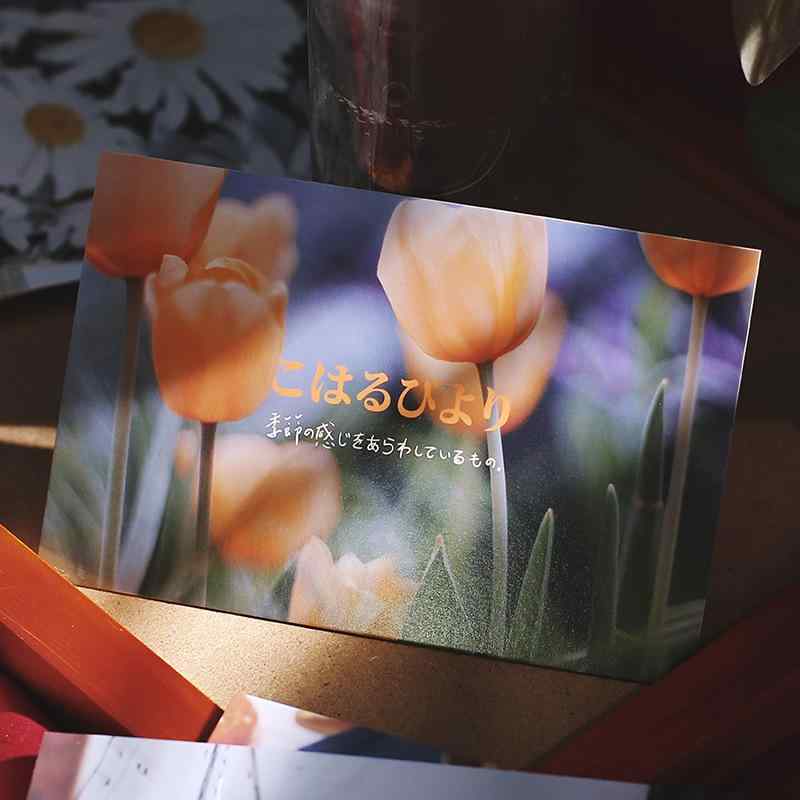 ������ �ݥ��ȥ����� ���饹�� �������� ������ �� �� �ۡ���ǥ��졼����� �����դ� ���ꥹ�ޥ� ���� �ѡ��ƥ���