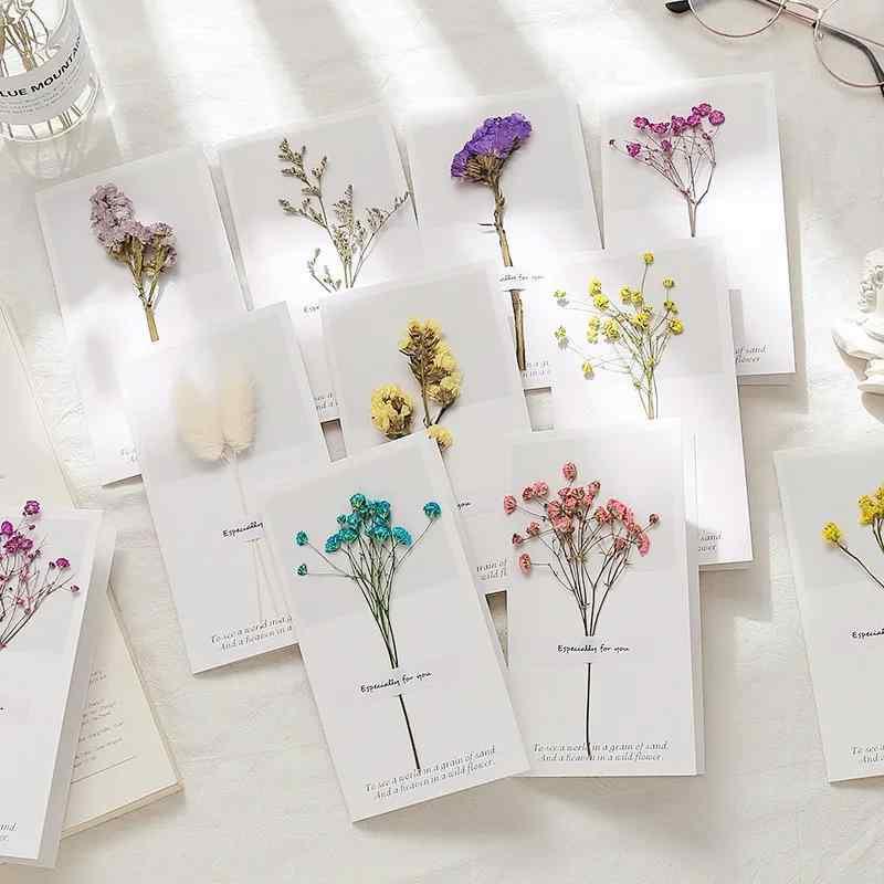 ���꡼�ƥ��󥰥����� �ɥ饤�ե� 5�ĥ��å� �ߥ� ���ե� ������ ��å����������� ������ �Ҥޤ�� ����ϡ ����