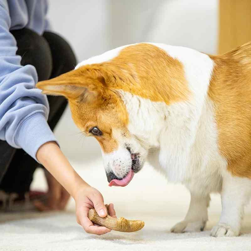 犬用おもちゃ 噛むおもちゃ 鹿の角 天然木 松木 研磨 耐久性 無毒 小型犬 中型犬