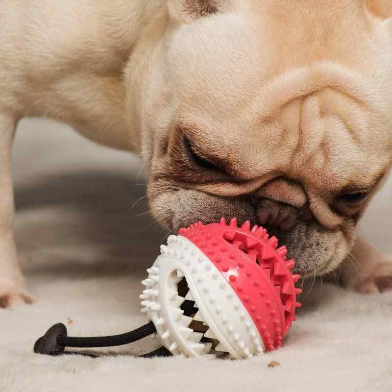 犬用おもちゃ 噛むおもちゃ 歯磨きボール 餌入れボール 知育玩具 ベル付き TPR素材 ストレス解消 留守番用