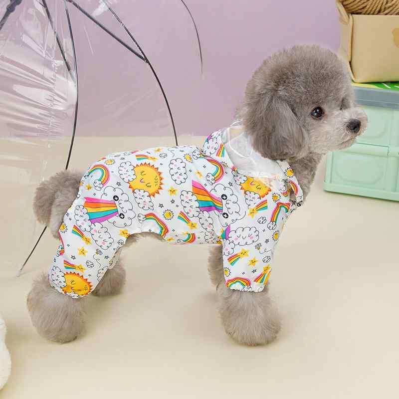 ���ѥ쥤�󥳡��� ������ �͵� �ɿ� ���襤�� ���� �߱�