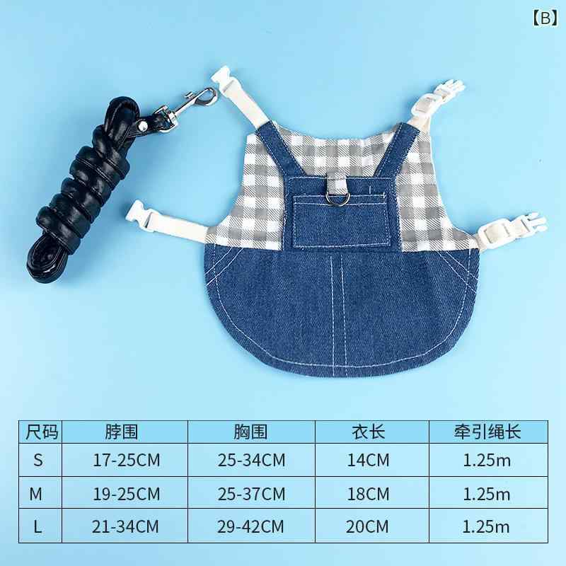 �ڥå��� �������� �ǥ˥� �������塼�� ���������� �ɥ�� ��ӥå� ���䡼 ��ǯ �̿����� ��ƻ�� ���襤�� �ݥꥨ���ƥ�