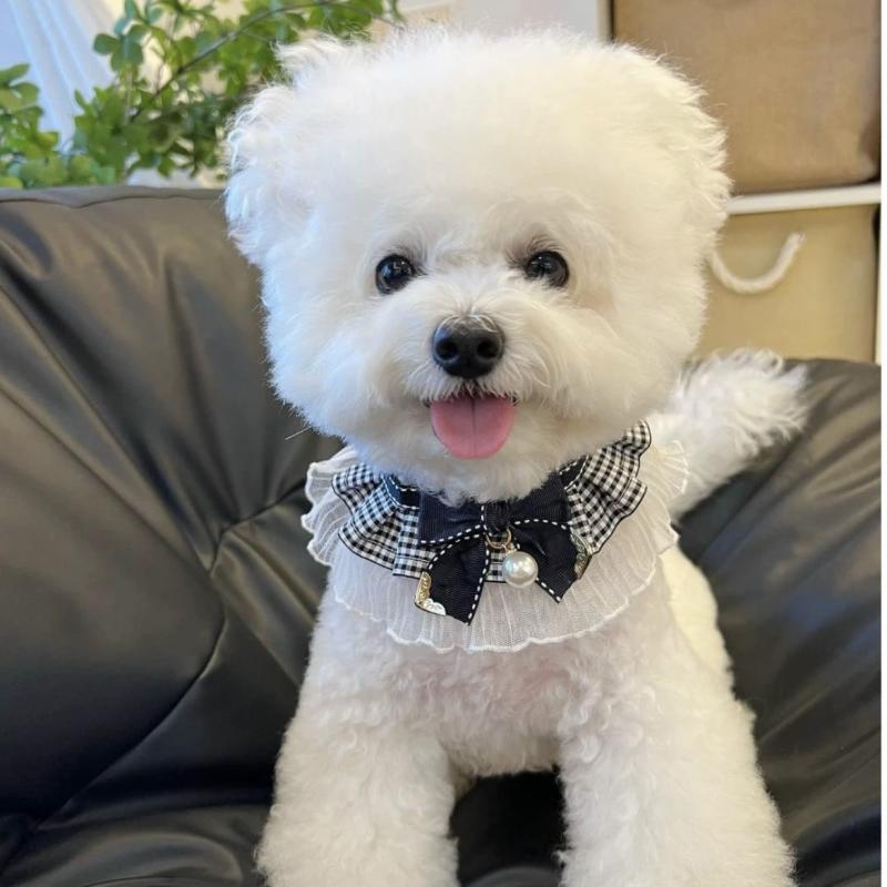 ペット スタイ よだれかけ 小型犬 飾り かわいい リボン チョーカー ネックレス ポリエステル 黒 ブラック 金縁 ゴールド パール 鈴