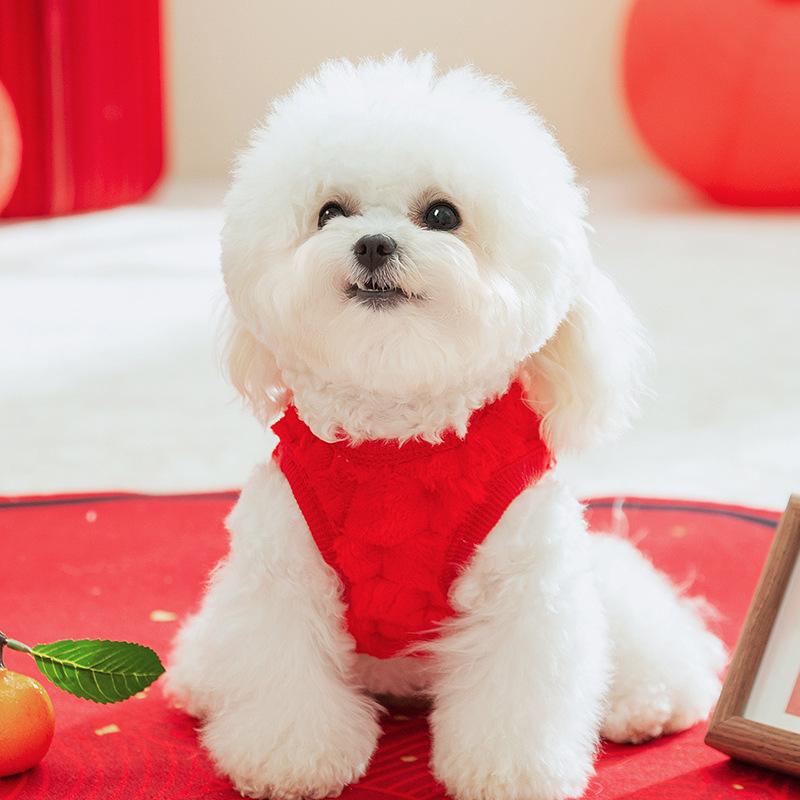 ペット服 犬用 テディ ビション 小型犬 服 かわいい ポリエステルフリース素材 防寒 2脚服 ドッグウェア お正月 年賀状 記念撮影