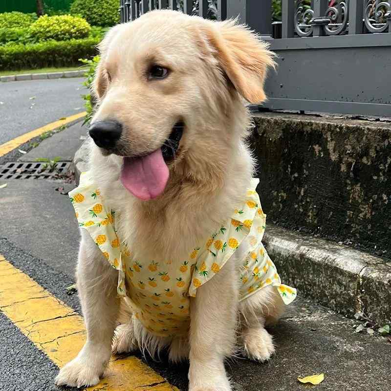 ペット服 犬 ラブラドール サモエド スカート ゴールデンレトリバー ボーダーコリー ベスト 中型犬 大..