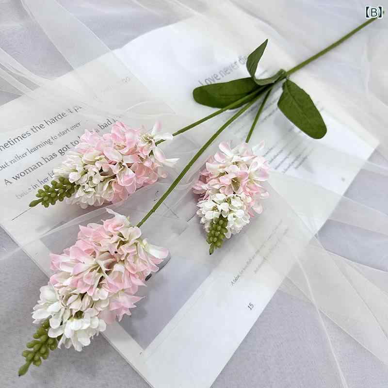 ¤�� ��٥���� ����ƥꥢ �����ǥ��� �̿����� ��ƻ�� �ǥ����ץ쥤 �� �ԥ� �� ���� �� �� �� �����ѥ�