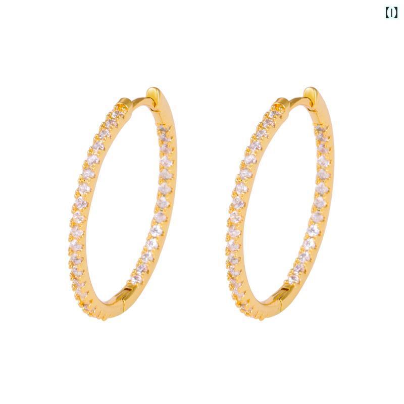 Amethyst - ピアス レディース ジルコニア サークル イヤリング ファッション アクセサリー ジュエリー おしゃれ かわいい エレガント 上品 電気メッキ加工 ギフト プレゼント ゴールド シルバー