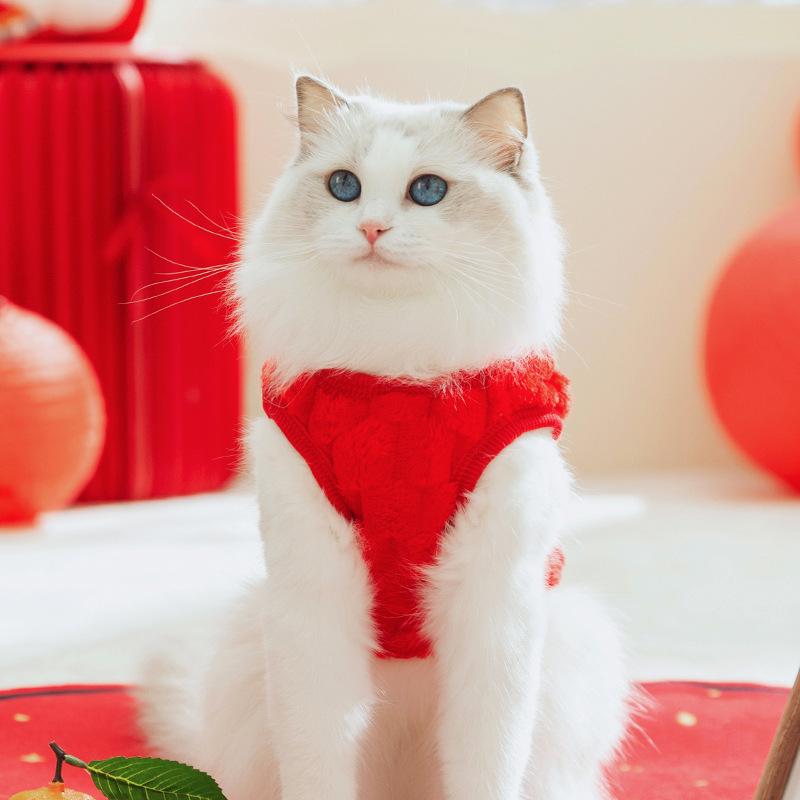 ペット服 猫 小型犬 秋冬 暖かい フリース ドッグウェア テディ ビション 快適 レッド XS S M L XL XXL