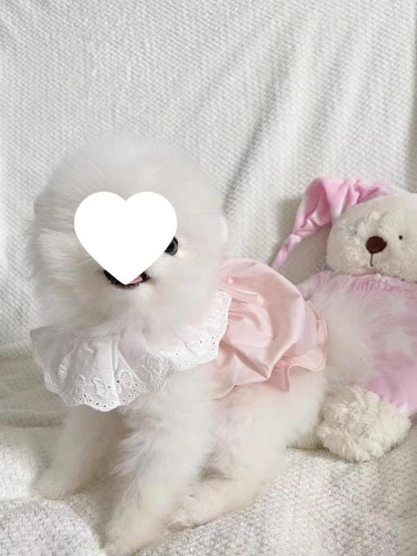 犬猫用 服 かわいい ペット服 マカロンカラー カボチャスカート 春夏 薄手 マルチーズ ビションフリーゼ 小型犬 お散歩着