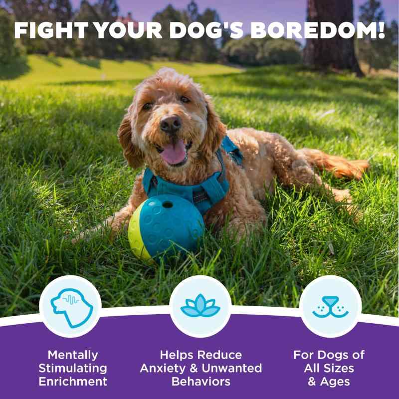 Outward Hound ニーナ・オットソン トリーツ・タンブルボール S ブルー PTOT67326