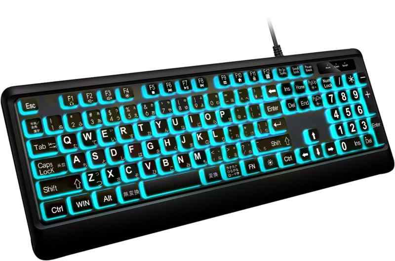 大きめの文字のバックライト付きキーボード、静かなUSB有線コンピューターキーボード、光るホワイトLED付きフルサイズキーボード Windowsデスクトップ、ノートパソコン、PC、ゲームに対応