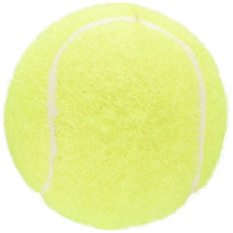 スーパーキャット (Super Cat) 音のなる テニスボール 2個入 S