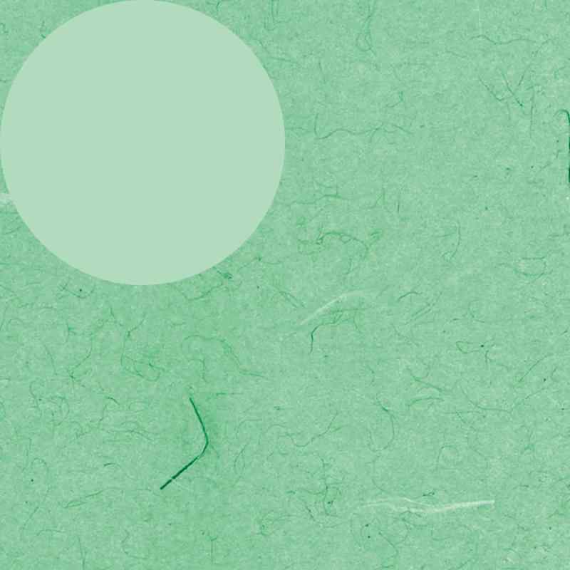 【ケース販売】HEIKO 包装紙 全判 002 1ケース