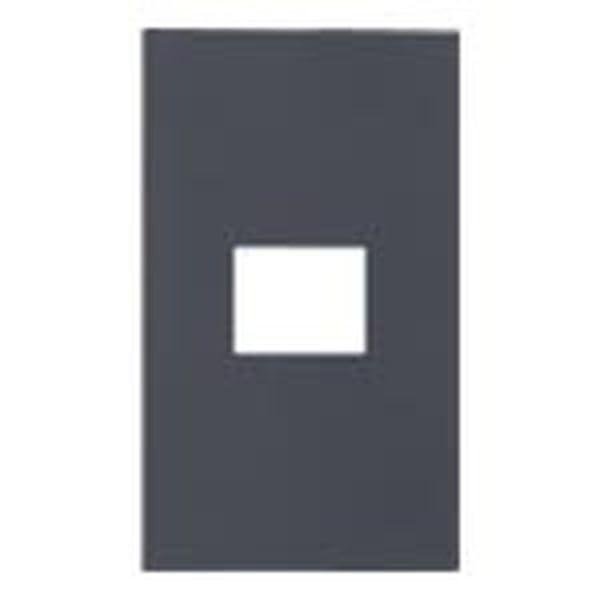 パナソニック(Panasonic) SO-STYLE プレート 1コ用 マットグレー WNS6001H