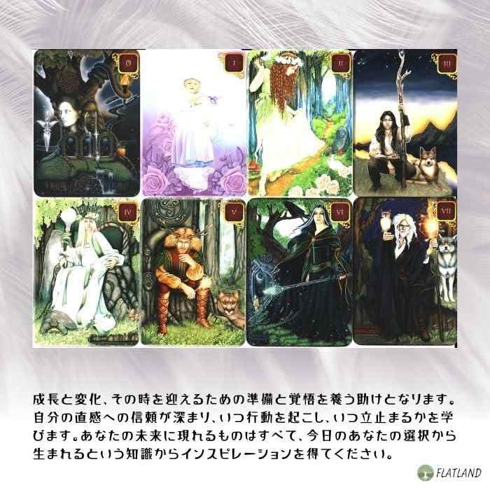 ドリームズ オブ ガイア タロット ポケットエディション Dreams of Gaia Tarot Pocket タロット占い方 日本語解説書付き 正規品 78枚