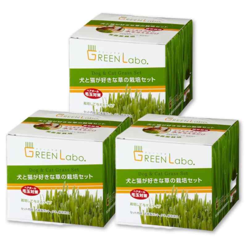 グリーンラボ 犬と猫が好きな草の栽培セット 猫草 毛玉ケア