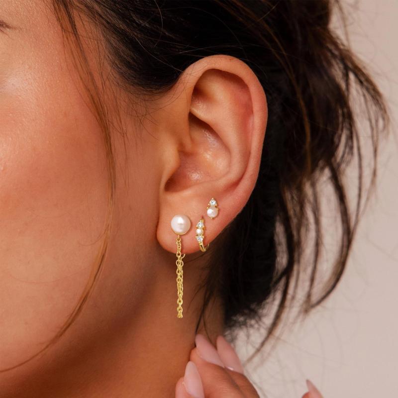 ピアス 女性用 秋冬 ファッション通勤 ゴールド メッキ加工 珍珠 流蘇 チェーン ジルコニア バタフライ モチーフ 軽量 幾何学デザイン シンプル アクセサリー 日常使い かわいい イヤリング セット