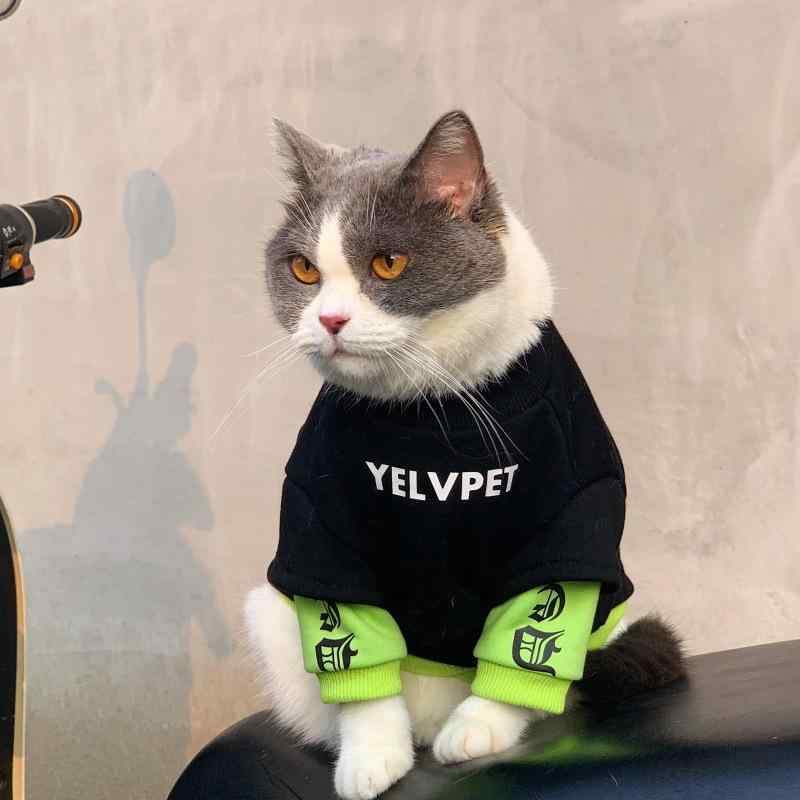 ペット服 ユニセックス 秋冬 犬猫用 スウェットパーカー 切り替えデザイン 暖か素材 黒 柴犬 ビションフリーゼ ポメラニアン フレンチブルドッグ ヨークシャーテリア ビートルテリア 普段使い 軽量 吸湿速乾 カジュアルスタイル