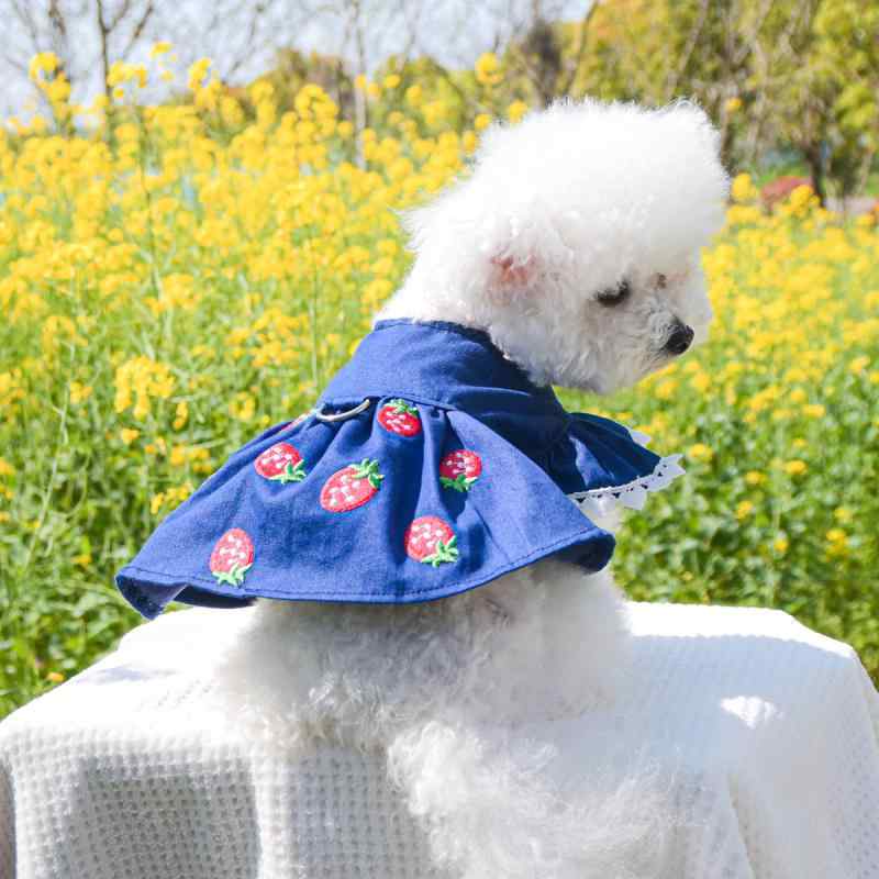 ペット 服 犬猫用 ユニセックス スカート かわいい 草莓柄 牛仔 デニム素材 涤纶 軽量 伸縮性 普段使い 室内着 遊び着 XS S M L XL サイズ展開 かわいい プリント デザイン ストロベリー 柄 ブルー 系 カラー 選択可 ユニバーサル フ