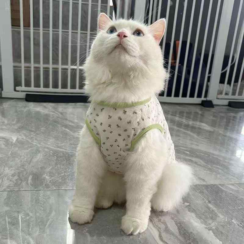 ペット 服 犬猫用 薄手 背心 プリント柄 休闲スタイル コットン風 涤纶素材 軽量 通気性 白色 ブルー グリーン 赤 虎柄 鹿柄 熊柄 小型犬 ビションフリーゼ フレンチブルドッグ コーギー テディ ポメラニアン 幼犬 日常使い