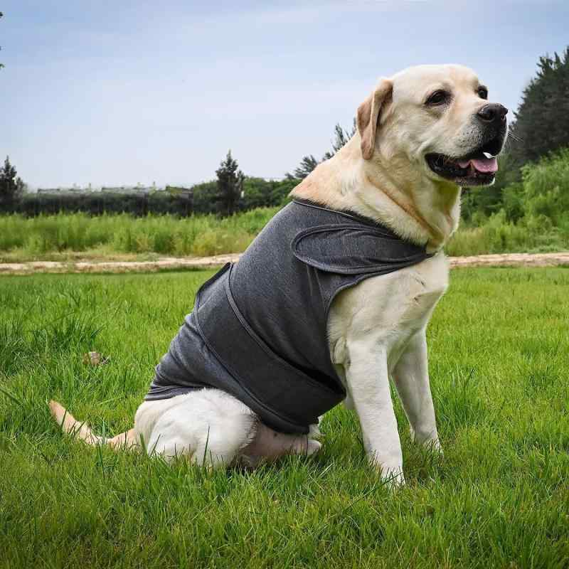 ペット服 犬用 無袖 保暖 ベスト 軽量 暖か 安定 服 英倫風 グレー カラーバリエーション オレンジ 縁取り 腈纶素材 汎用性 犬服 秋冬 暖かみ 軽暖 無袖デザイン