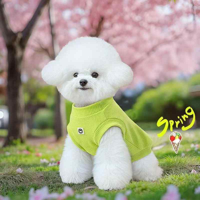 ペット 服 春秋 抹茶 背心 馬甲 トラクション フック 付き ユニセックス 犬用 ワイシャツ スタイル 軽量 ポリエステル 素材 伸縮性 吸湿速乾 機能 かわいい デザイン 室内 屋外 普段使い 対応 小型犬 向け ビヨンド テディ ビションプー スム