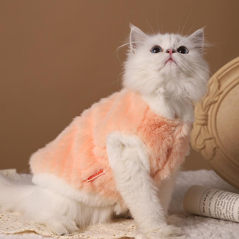 ペット服 猫用 冬服 保暖 綿素材 防毛抜け 加厚 ユニセックス ブルー オレンジ 軽量 柔らかい 室内着 冬用 ぬくぬく かわいい スタイリッシュ 汎用 コンパクト