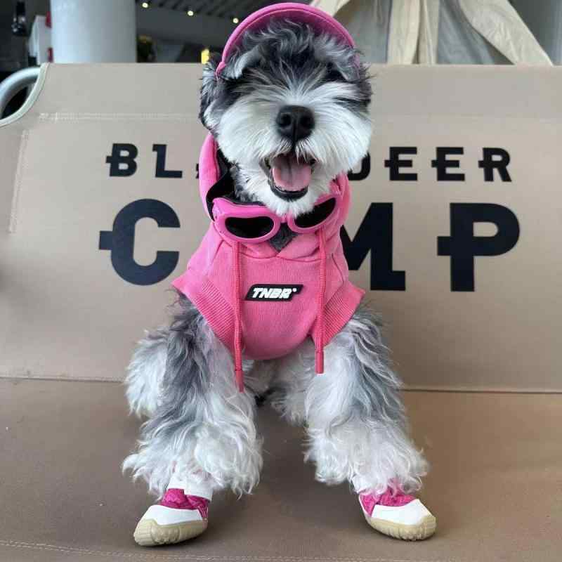 犬用 秋冬 フード付き パーカー スウェット 犬服 雪ナレ ビション テディ 柴犬 西ハイランド ピンク ブルー コットン混 ポリエステル 暖か 厚手 フリース 裏地 暖房 防寒 室内用 屋外用 散歩用 かわいい デザイン ゆったり フィット 伸縮性 軽