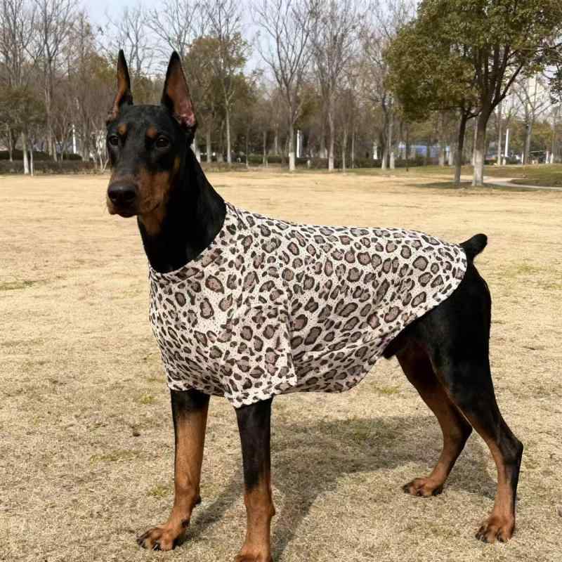 楽天市場】スポンジボブ（犬用品｜ペット・ペットグッズ）の通販